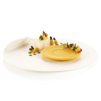 Silikomart Piatto 80 Professional Silicon Mould